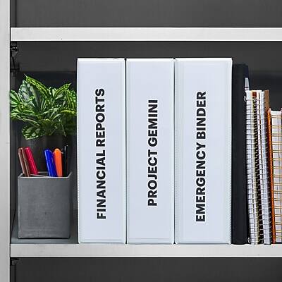 FINANCIAL REPORTS  
PROJECT GEMINI  
EMERGENCY BINDER