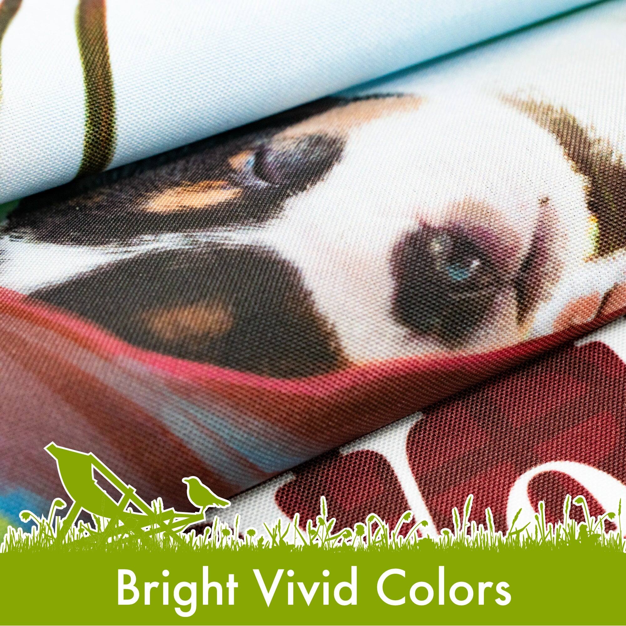 Bright Vivid Colors