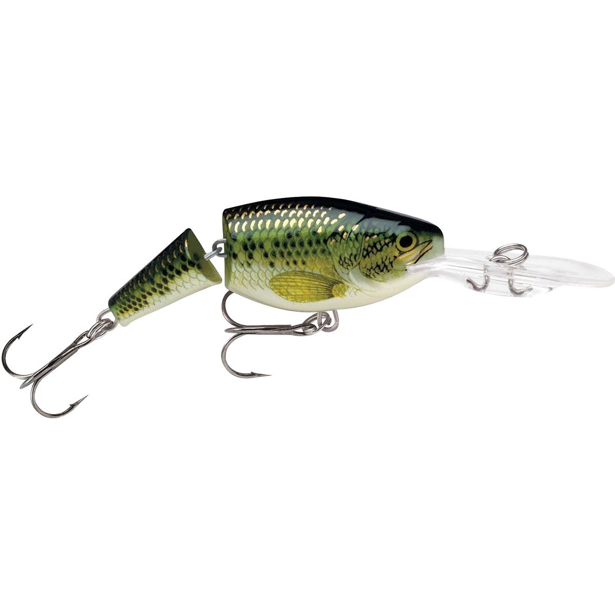 Baby Bass