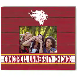 Jardine - Concordia University (IL) Cougars 11'' x 13'' Team Spirit Scholastic Picture Frame - Maroon