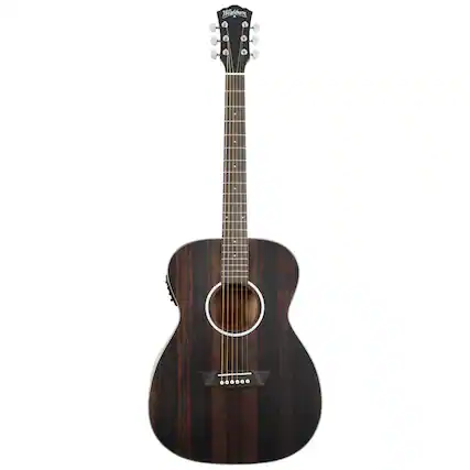 Front. Washburn - Washburn Deep Forest Ebony FE Acoustic Guitar, Striped Ebony.