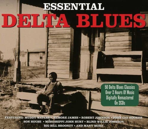 Various Artists - Essential Delta Blues / Various  - COMPACT DISCS