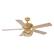 Alt View 6. Parrot Uncle - 52" BohoSand Gold Cage Ceiling Fan with Remote and Light Kit - Matte White.