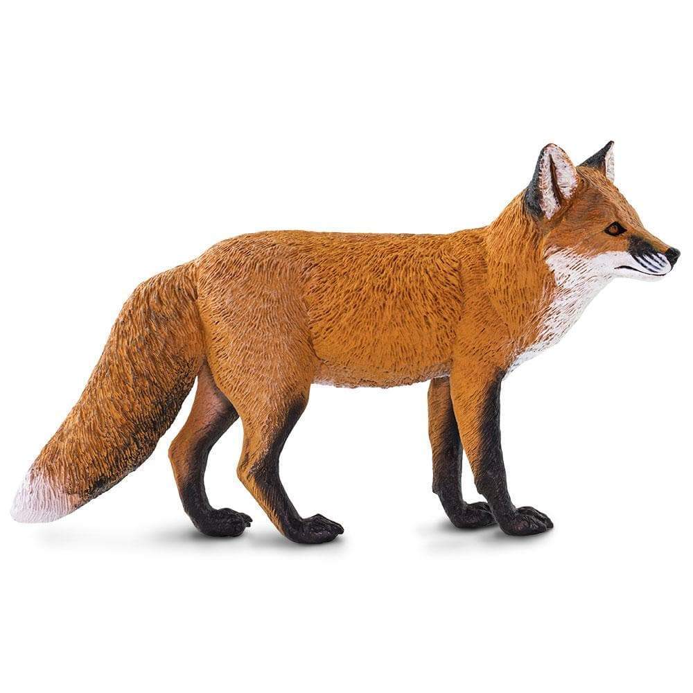 Angle. Safari Ltd. - Red Fox Toy Figurine.