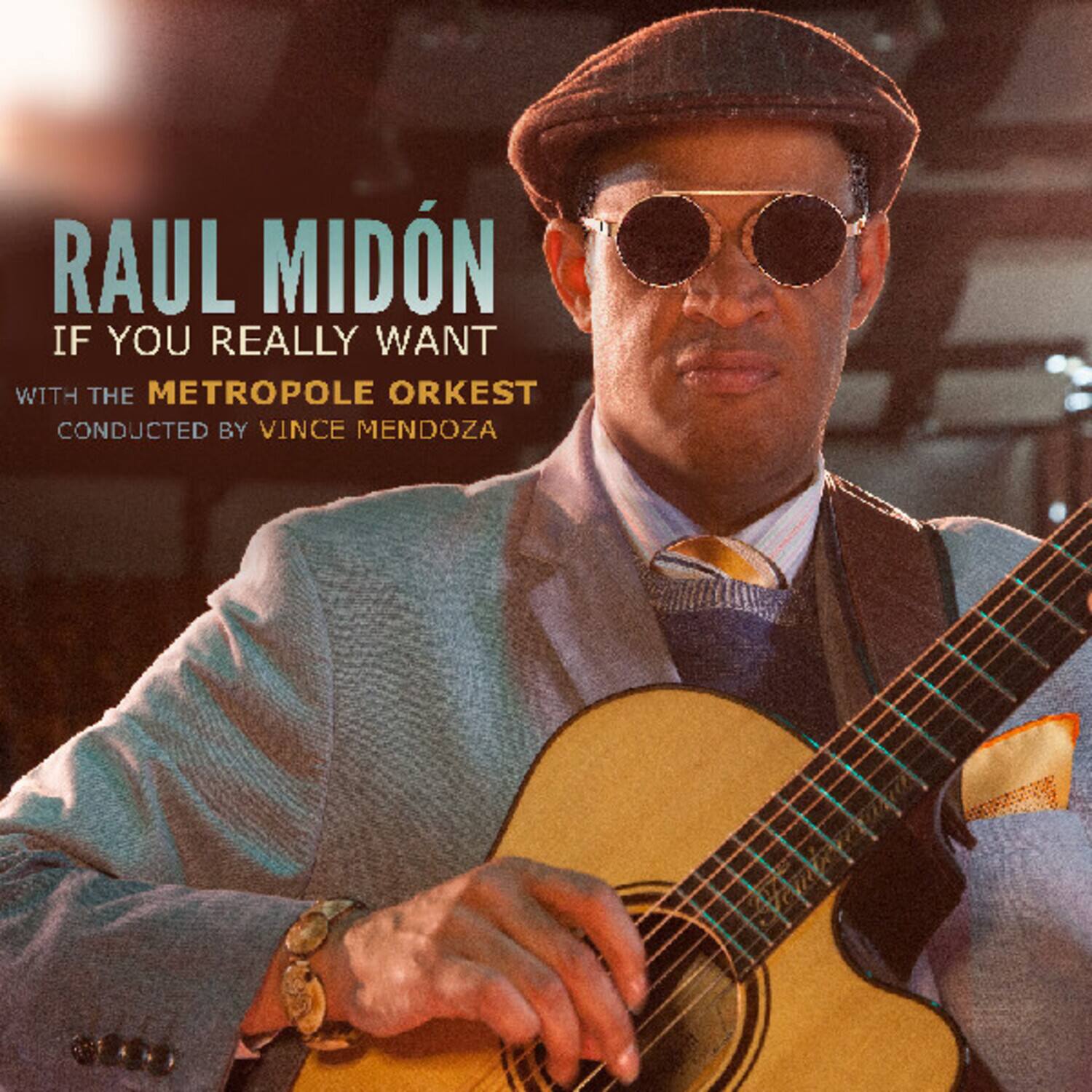 Raul Midón - If You Really Want   - COMPACT DISCS [CD] price history on PriceWatchPro