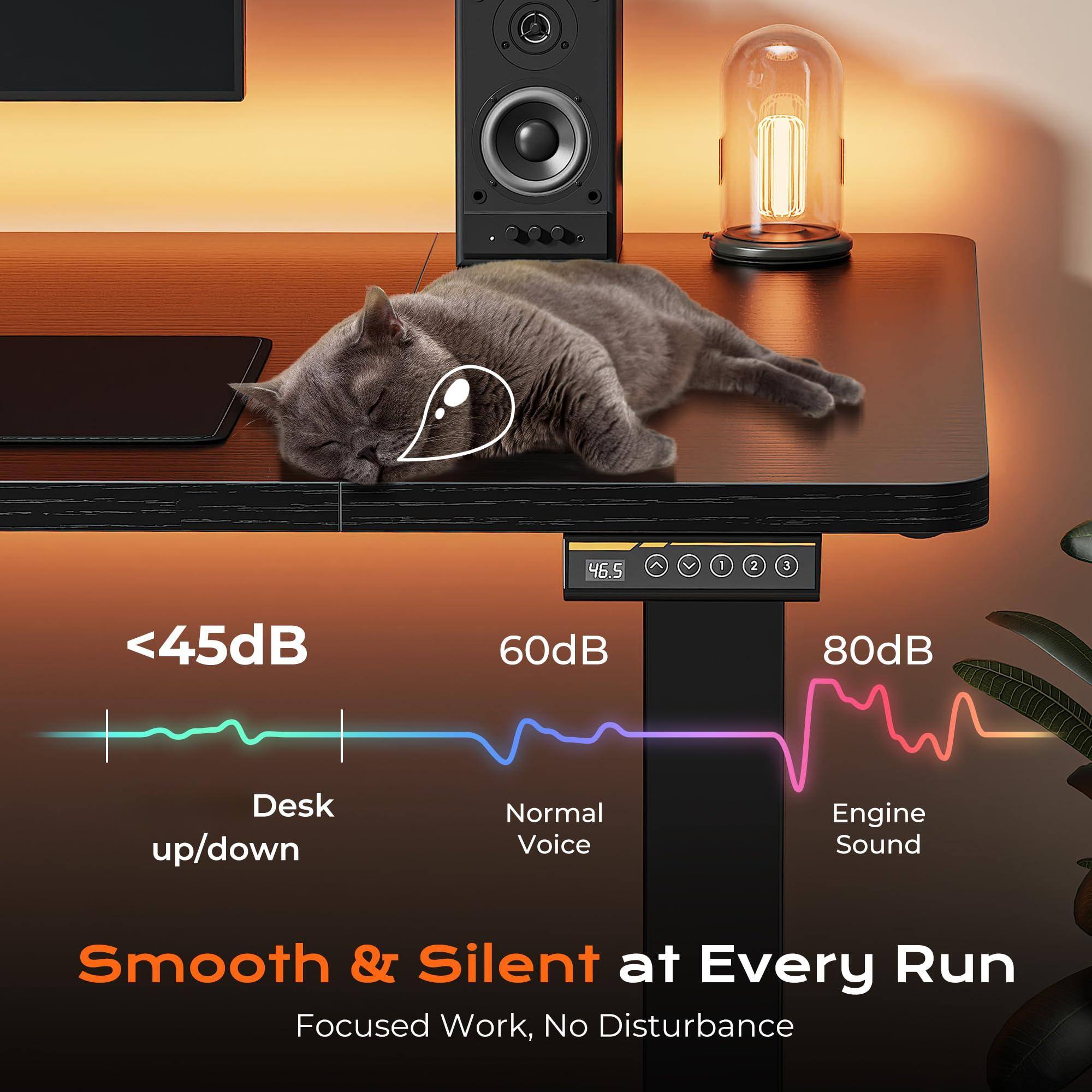 46.5 1 2 3  
<45dB 60dB 80dB  
Desk up/down  
Normal Voice  
Engine Sound  
Smooth & Silent at Every Run  
Focused Work, No Disturbance