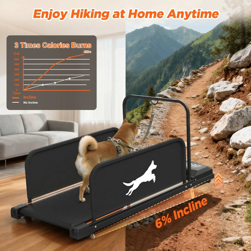 Enjoy Hiking at Home Anytime

3 Times Calories Burns
650+ Cal

Time - Incline
No Incline
6% Incline