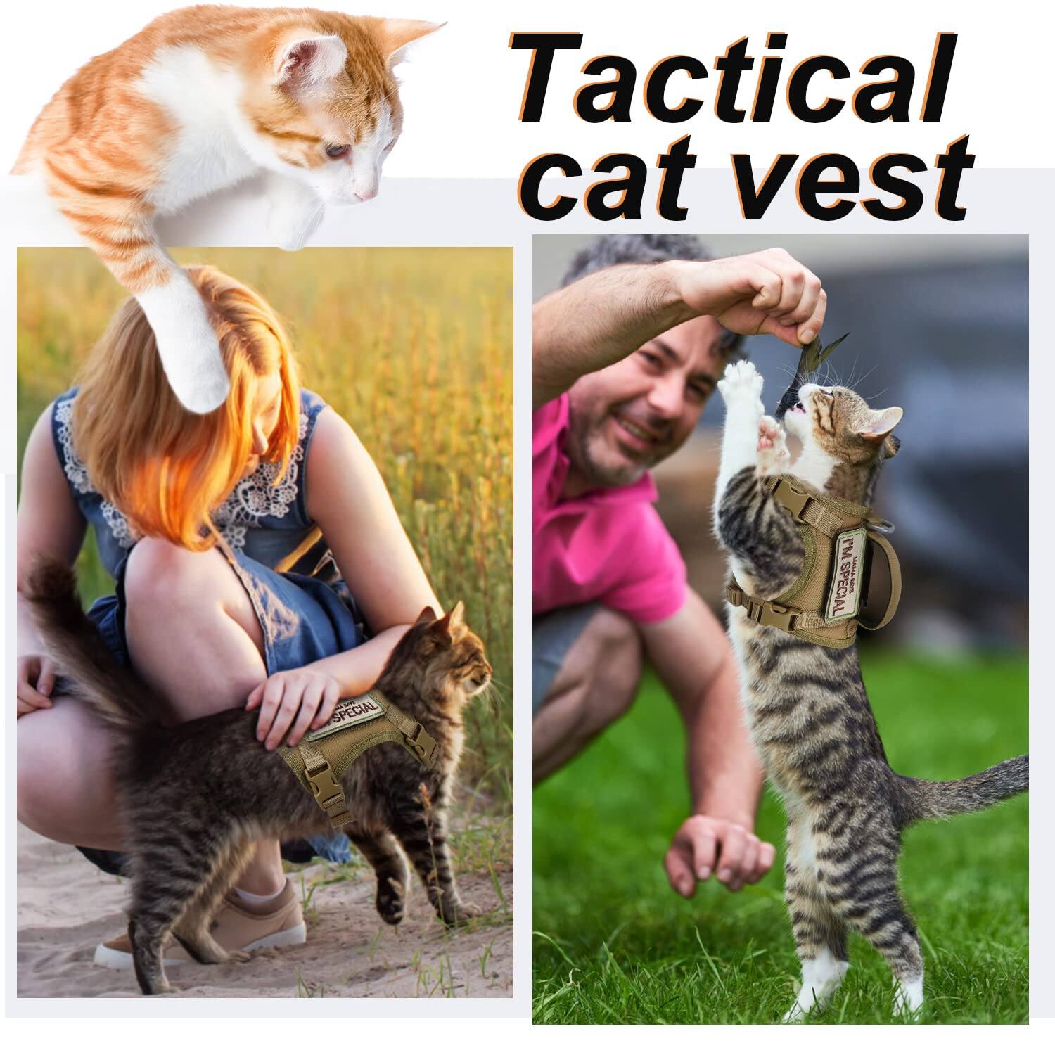 Tactical cat vest

I'M SPECIAL