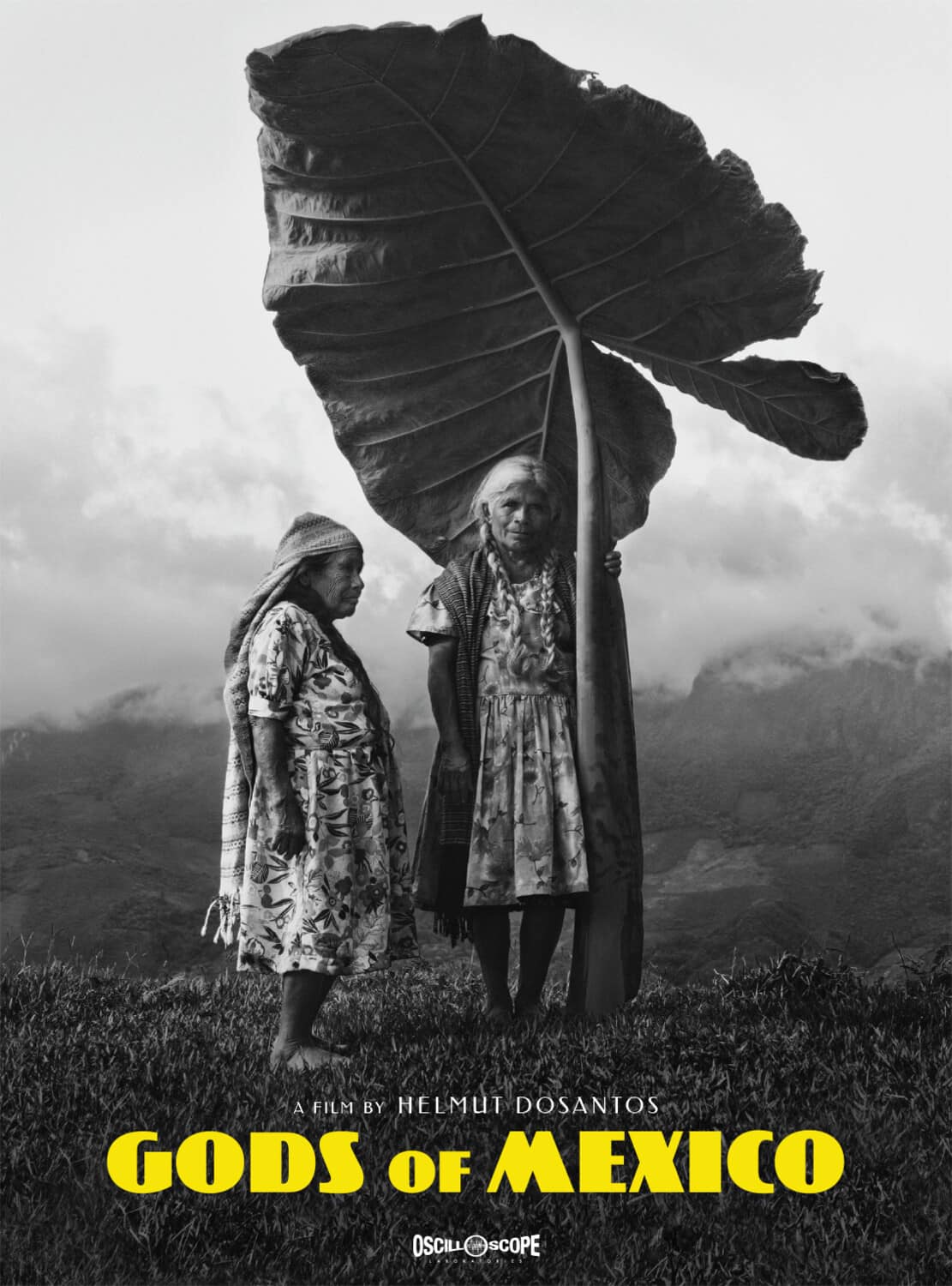Gods Of Mexico  - DVD
