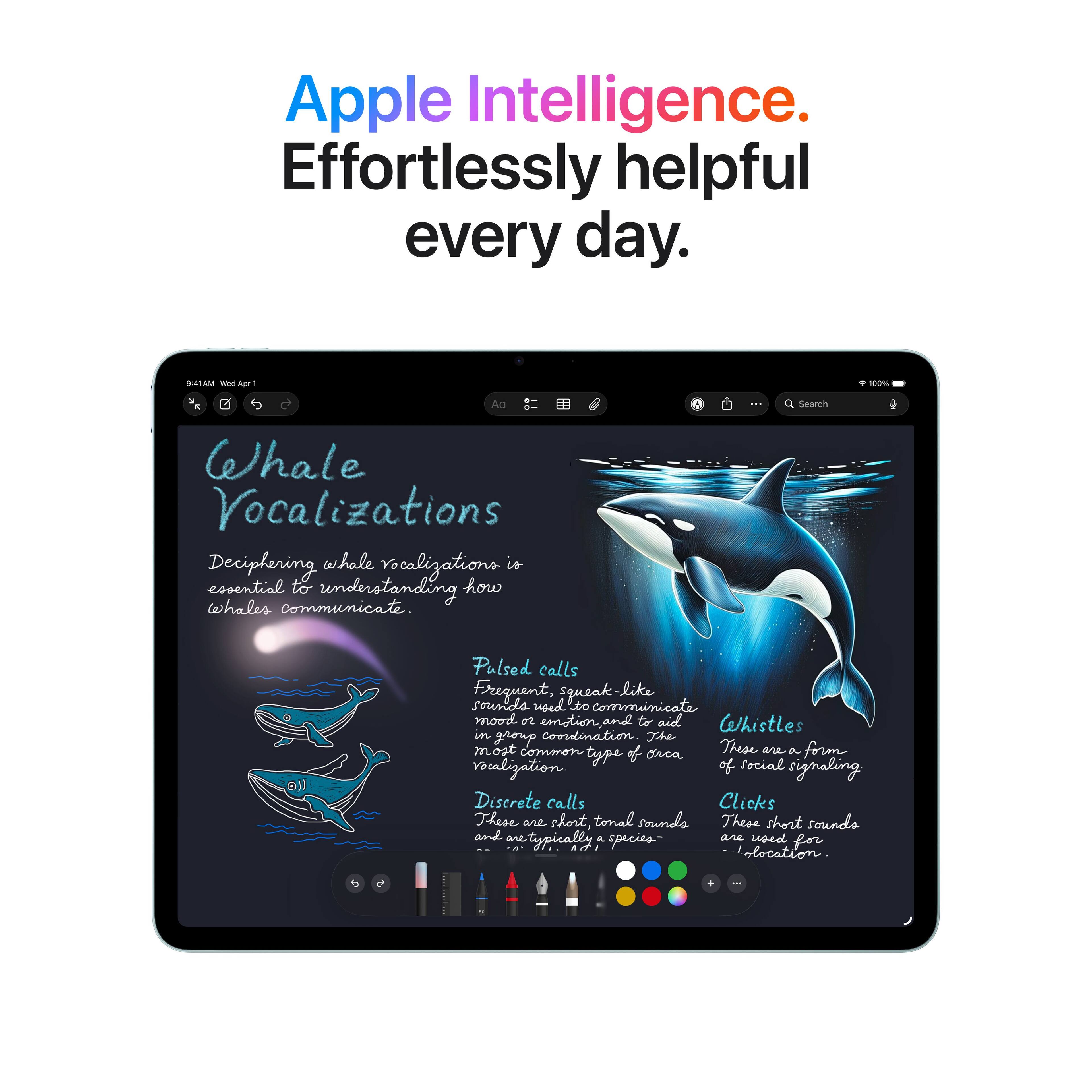 Apple Intelligence. Effortlessly helpful every day.

Whale Vocalizations

Deciphering whale vocalizations is essential to understanding how whales communicate.

Pulsed calls
Frequent, squeak-like sounds used to communicate mood and emotion, and to aid in group coordination.

Whistles
These are a form of social vocalization.

Discrete calls
These short, tonal sounds are used for location.

Clicks
These short sounds are used for location.