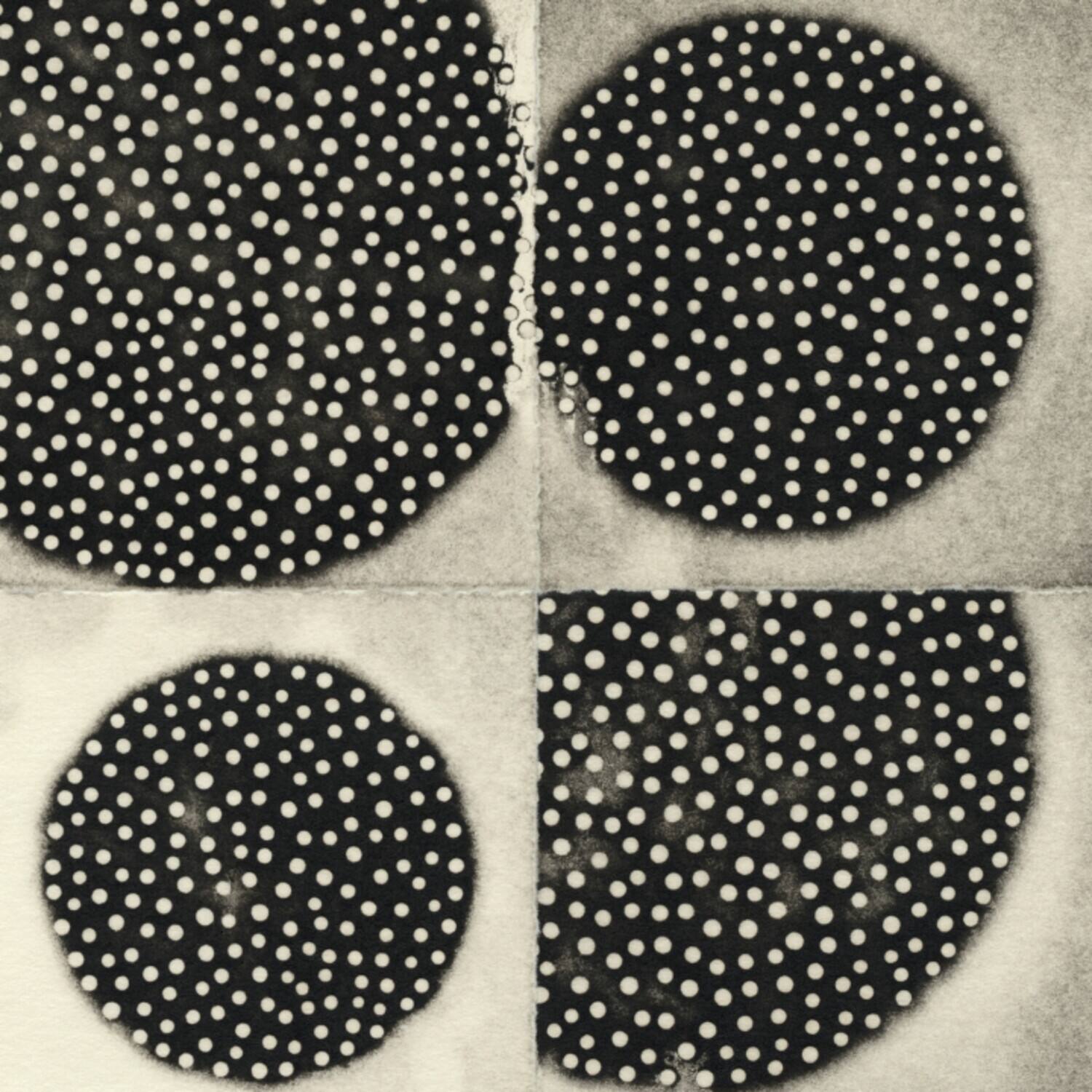 Front. K. Leimer - Resting Forms   - COMPACT DISCS.