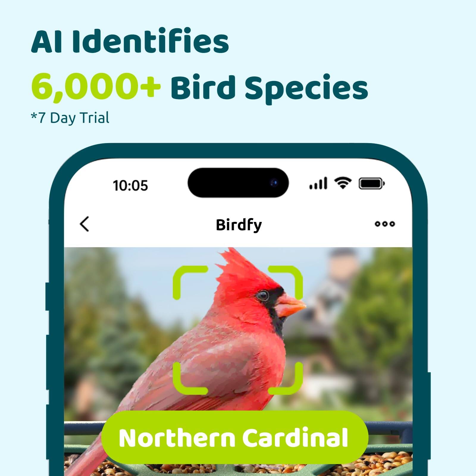 AI Identifies 6,000+ Bird Species *7 Day Trial 10:05 Birdfy Northern Cardinal