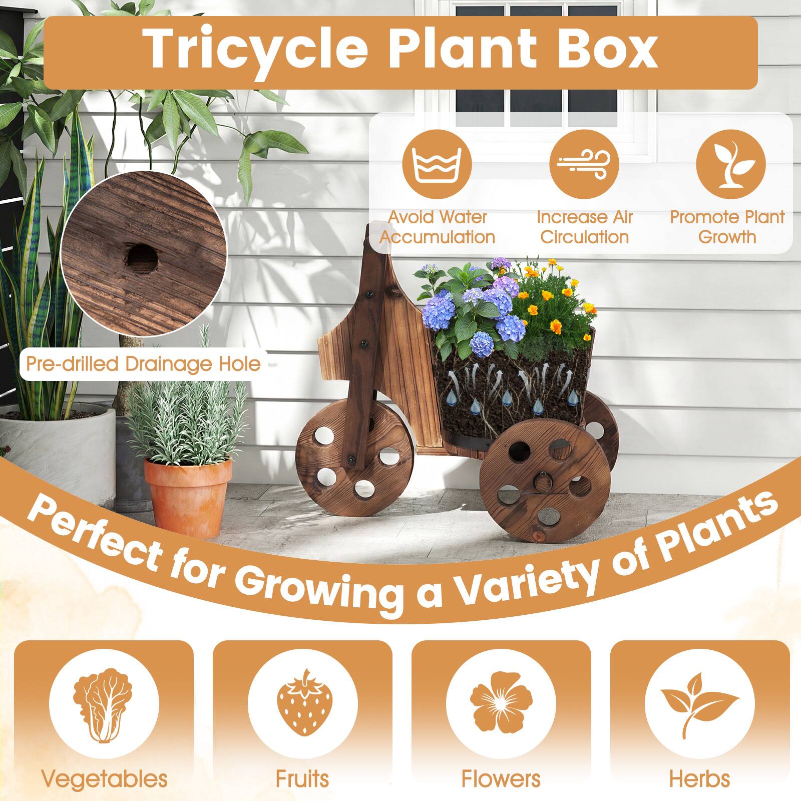 Tricycle Plant Box

- Avoid Water Accumulation
- Increase Air Circulation
- Promote Plant Growth

Pre-drilled Drainage Hole

Perfect for Growing a Variety of Plants

- Vegetables
- Fruits
- Flowers
- Herbs