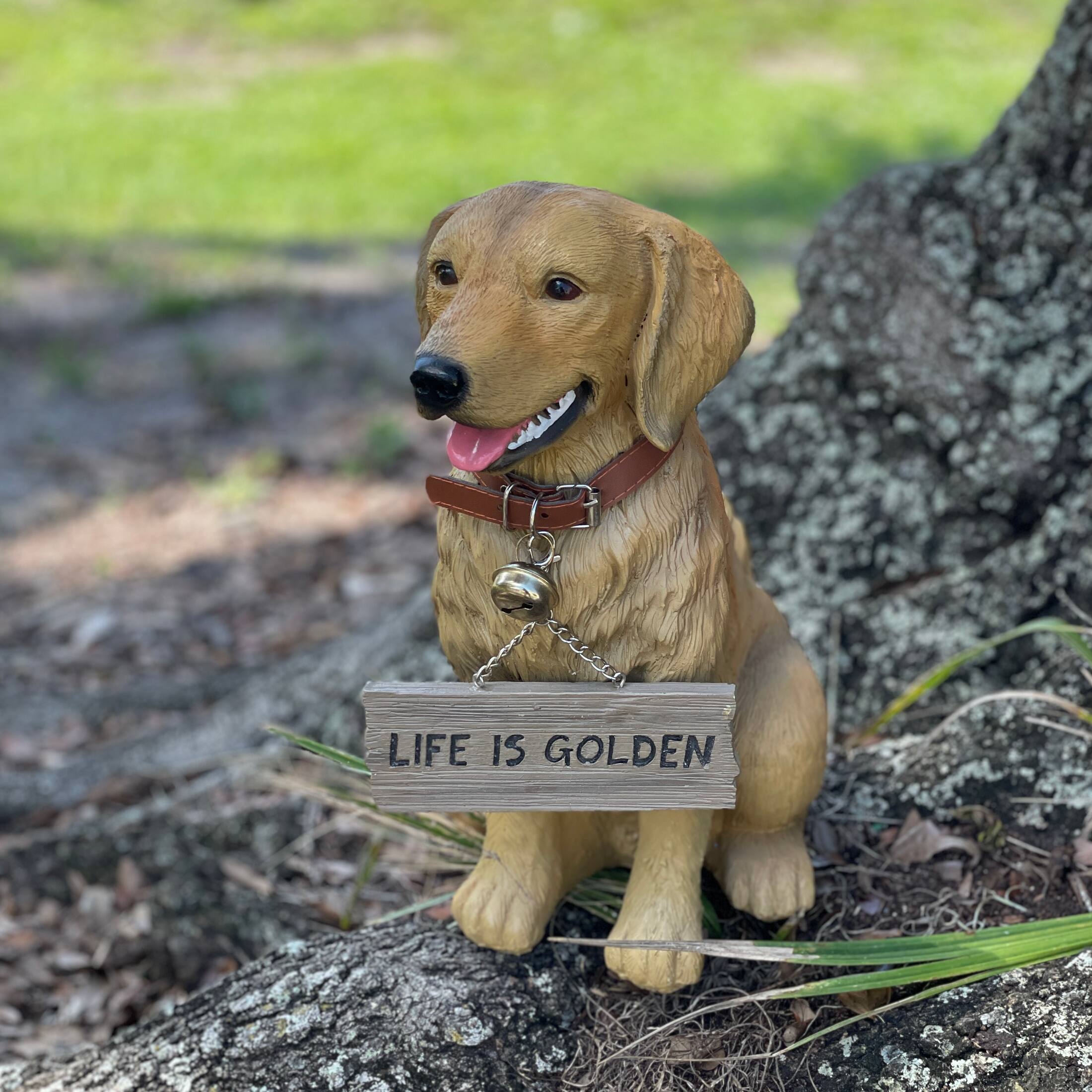 LIFE IS GOLDEN