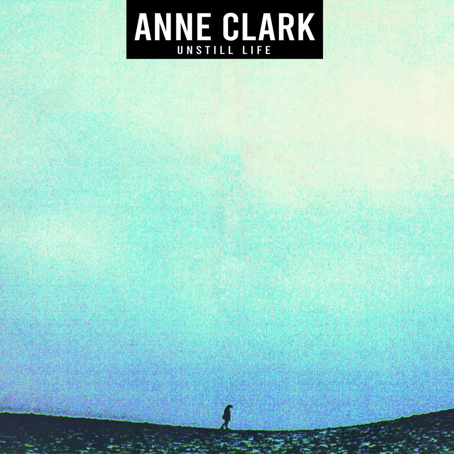 ANNE CLARK  
UNSTILL LIFE