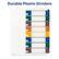 Durable Plastic Dividers
1 2 3 4 5 6 7 8