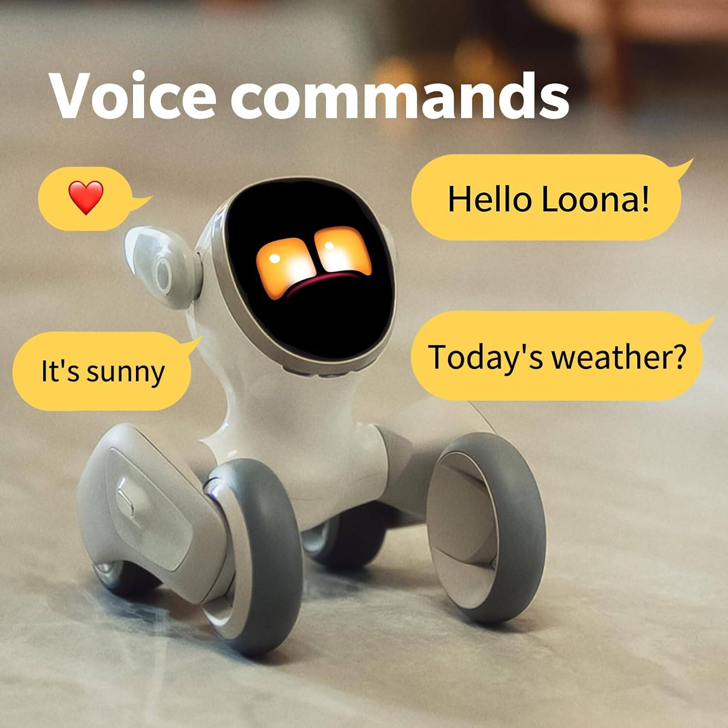 Voice commands
Hello Loona!
Today's weather?
It's sunny