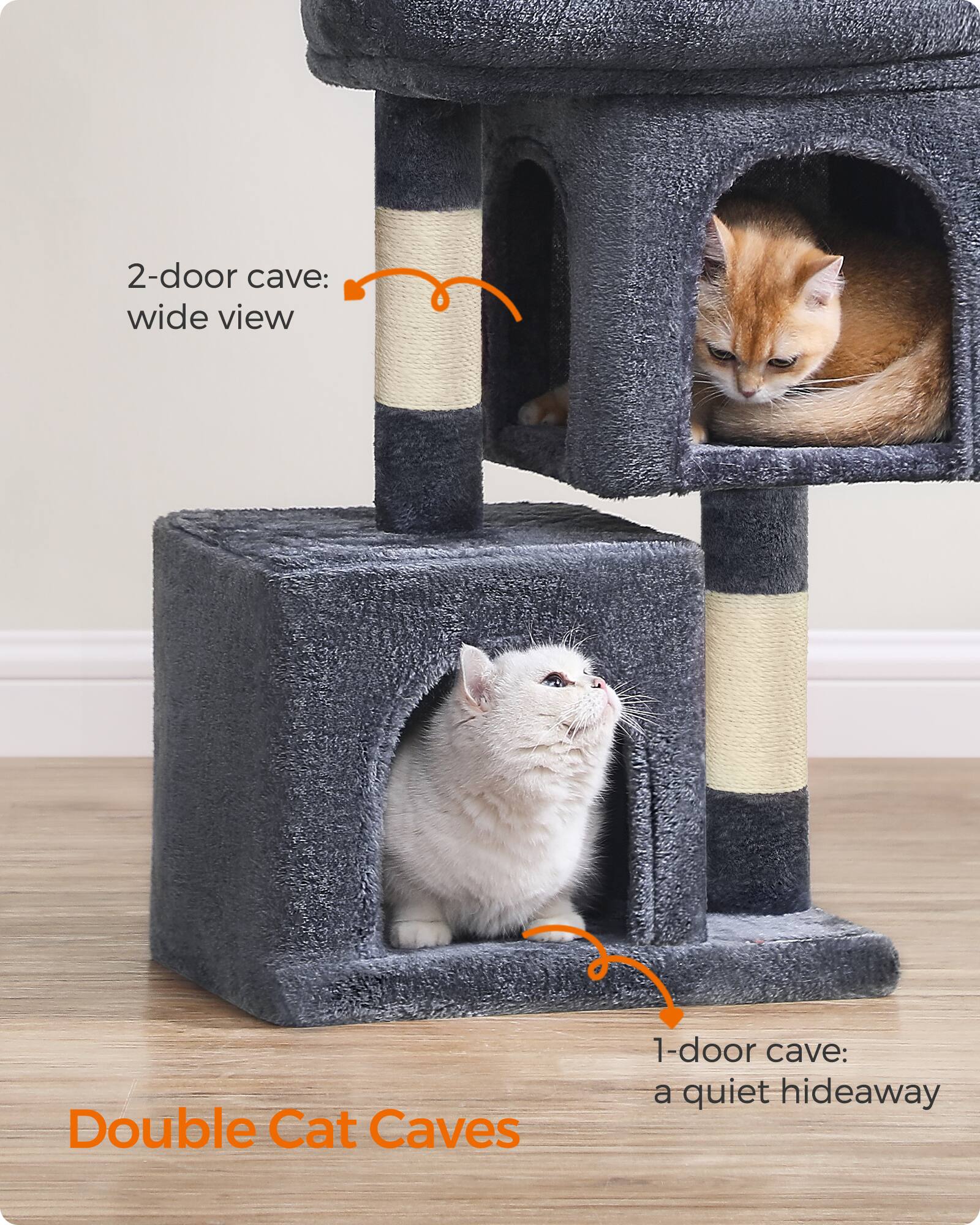 2-door cave: wide view  
Double Cat Caves  
1-door cave: a quiet hideaway