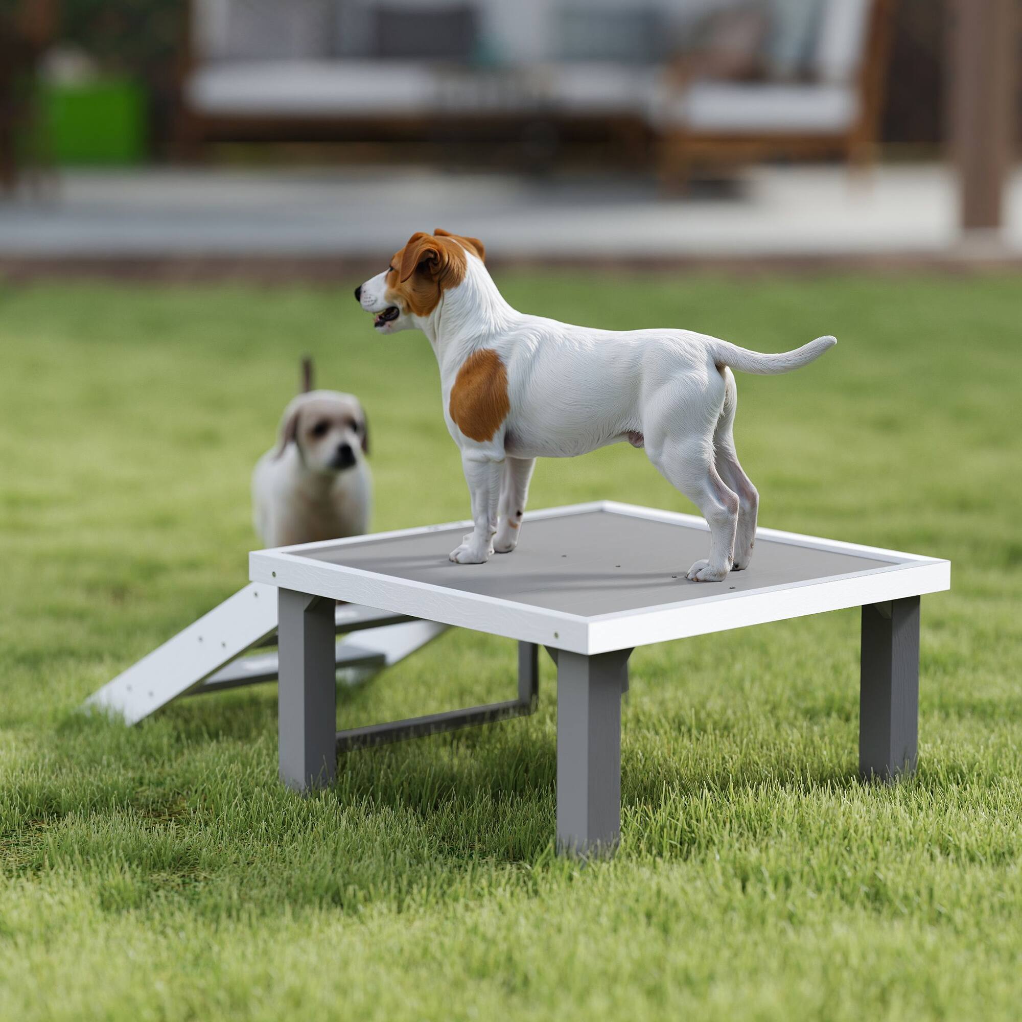 Alt View 5. Pawhut - Dog Training Platform, Wooden Place Board with Ladder, Indoor/Outdoor, for Small, Medium Dogs - Gray.