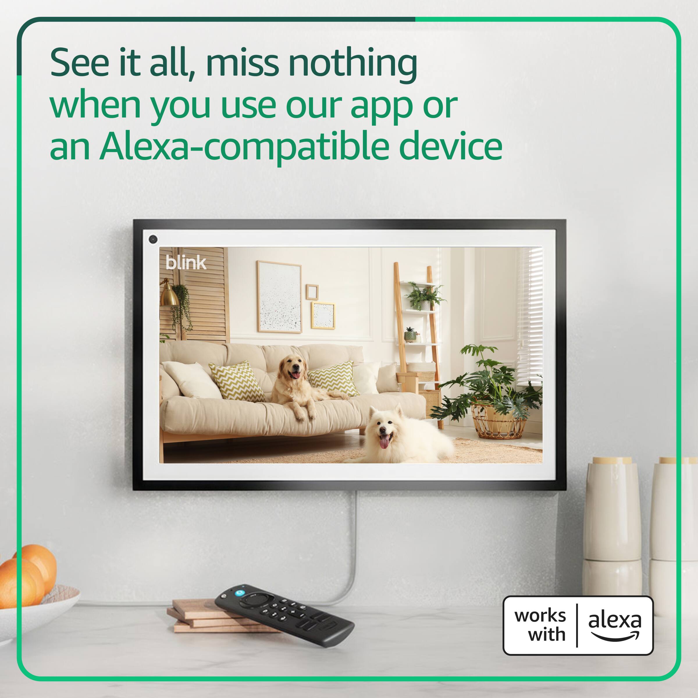 See it all, miss nothing when you use our app or an Alexa-compatible device

blink

works with alexa