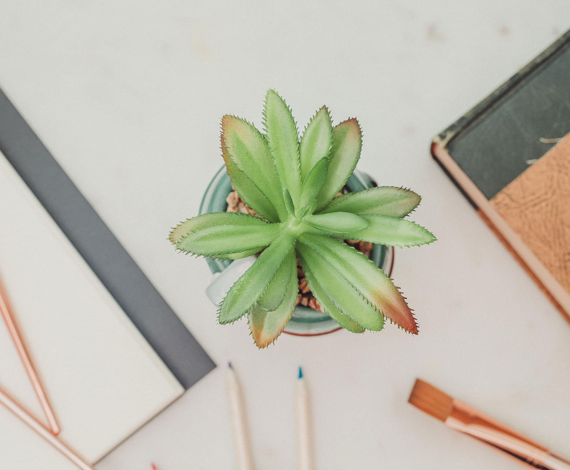 Alt View 2. Silver Buffalo - Star Wars Boba Fett Helmet 3-Inch Ceramic Mini Planter With Artificial Succulent - Green.