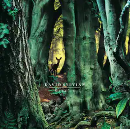 David Sylvian - Manafon - VINYL LP