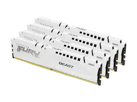 KINGSTON FURY
KINGSTON FURY DDR5
KINGSTON FURY DDR5
KINGSTON FURY BEAST DDR5