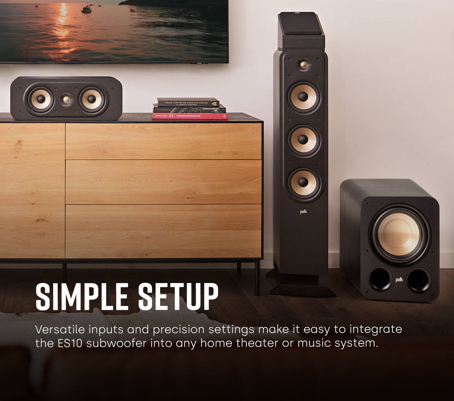 Versatile inputs and precision settings make it easy to integrate the ES10 subwoofer into any home theater or music system.