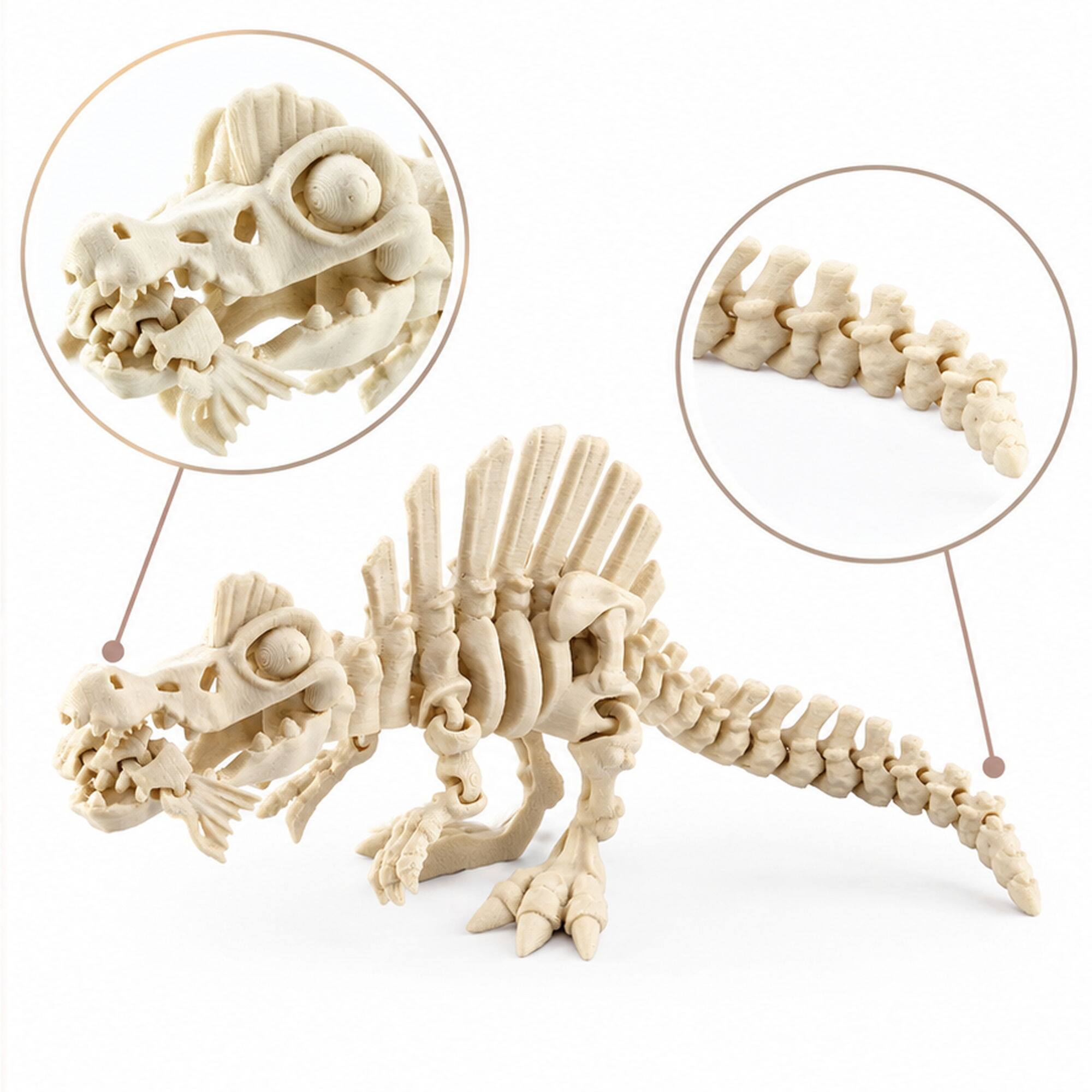 Left. JuzToys - 3D Printed Skeleton Spinosaurus, Prehistoric Collectible Articulating Dinosaur Figurine Desk Décor White by PowerTRC - White.
