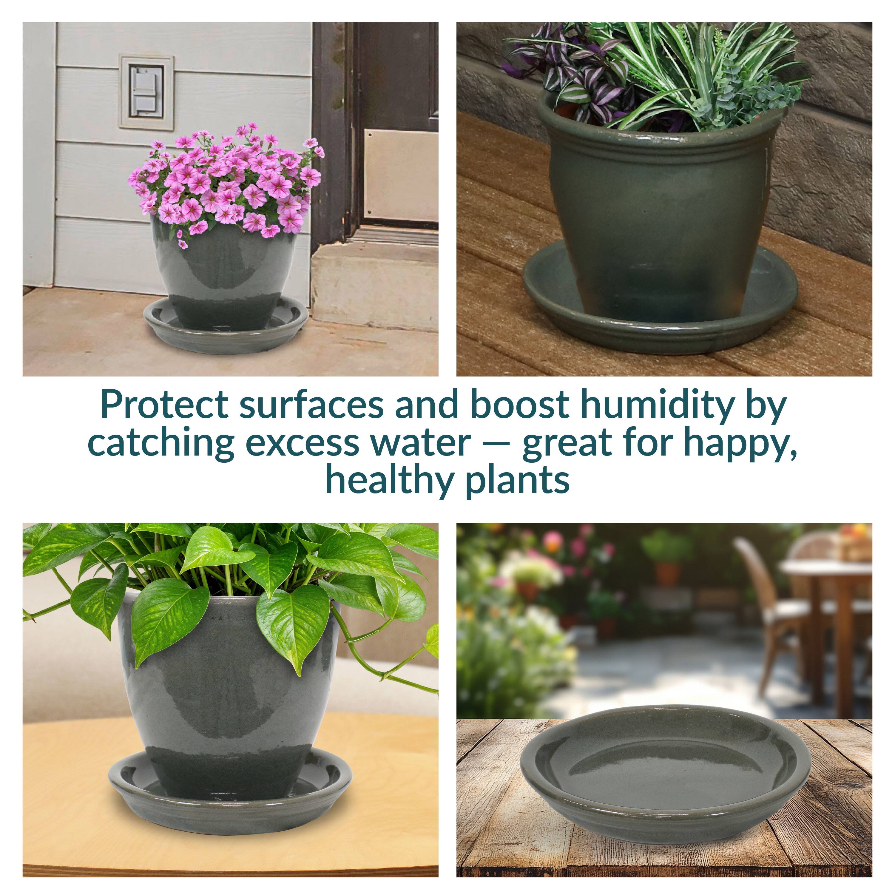 Protect surfaces and boost humidity by catching excess water — great for happy, healthy plants