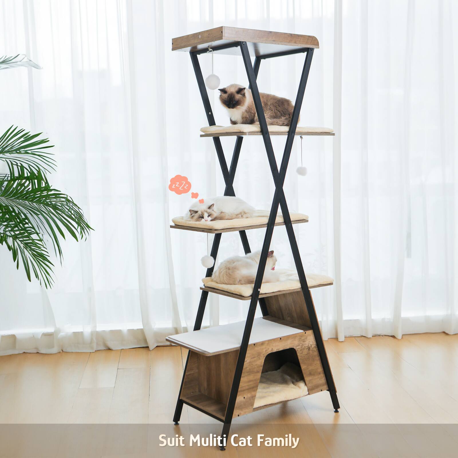 Suit Multi Cat Family
