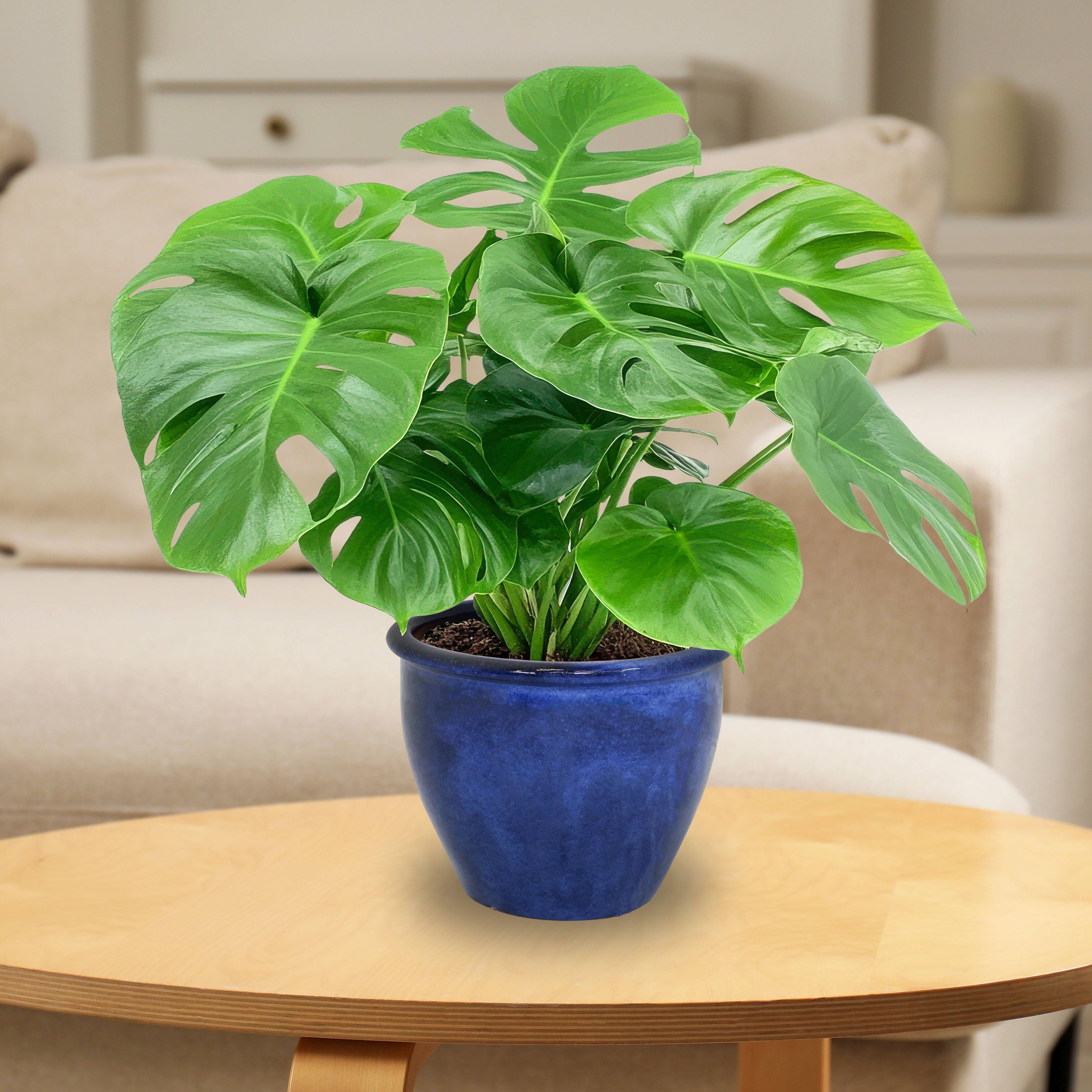 Alt View 7. Sunnydaze - 12 in Chalet Glazed Ceramic Planter - Set of 2 - Imperial Blue.