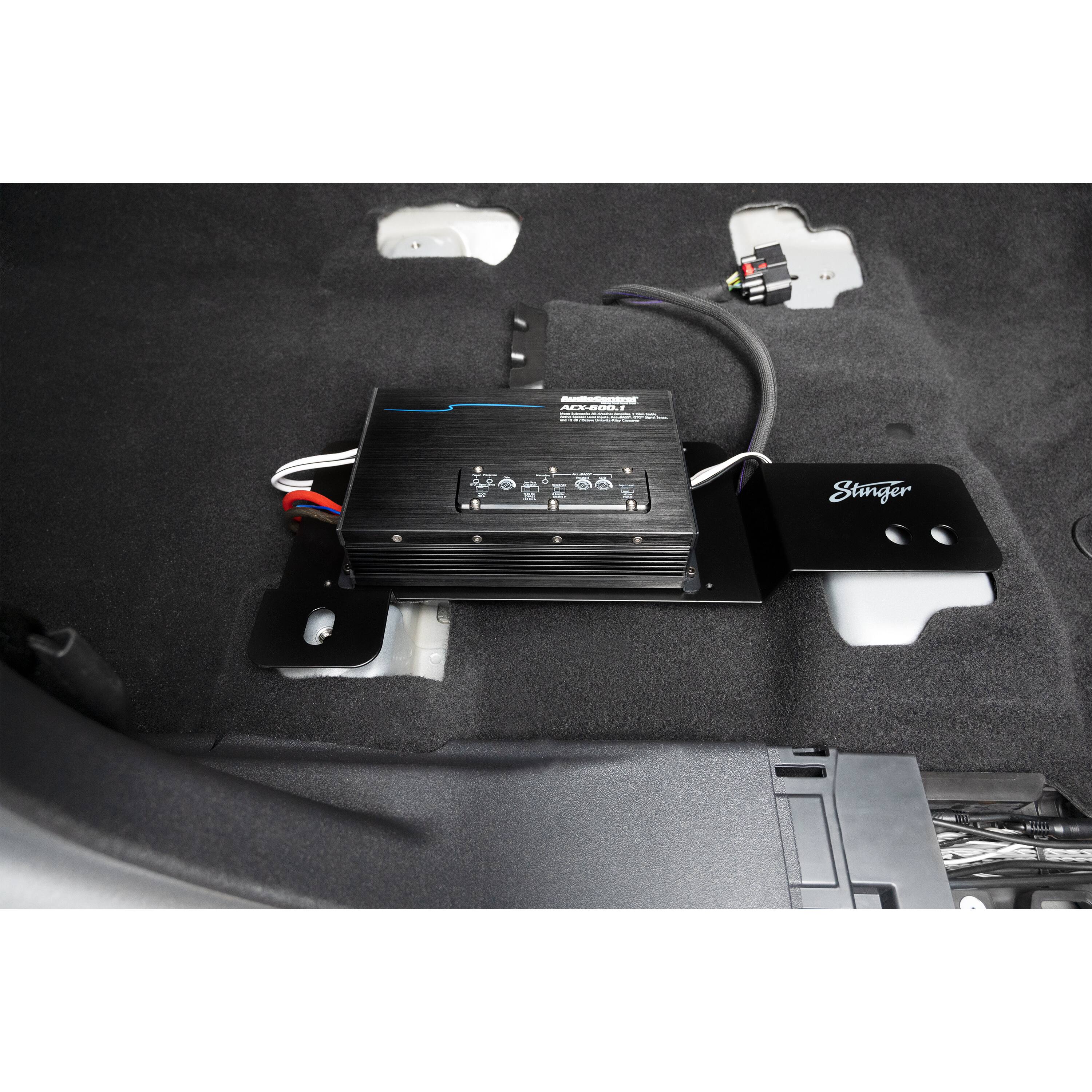 The text on the image reads "LeeLi Stinger."