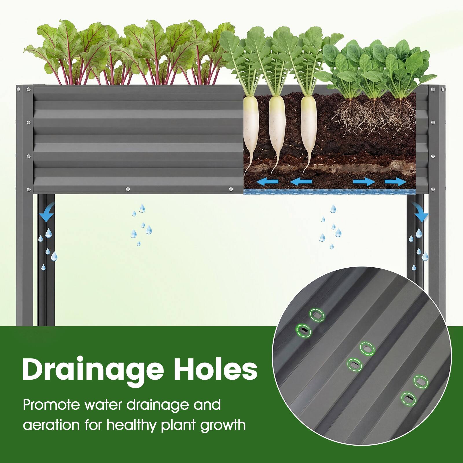 Drainage Holes

Promote water drainage and aeration for healthy plant growth