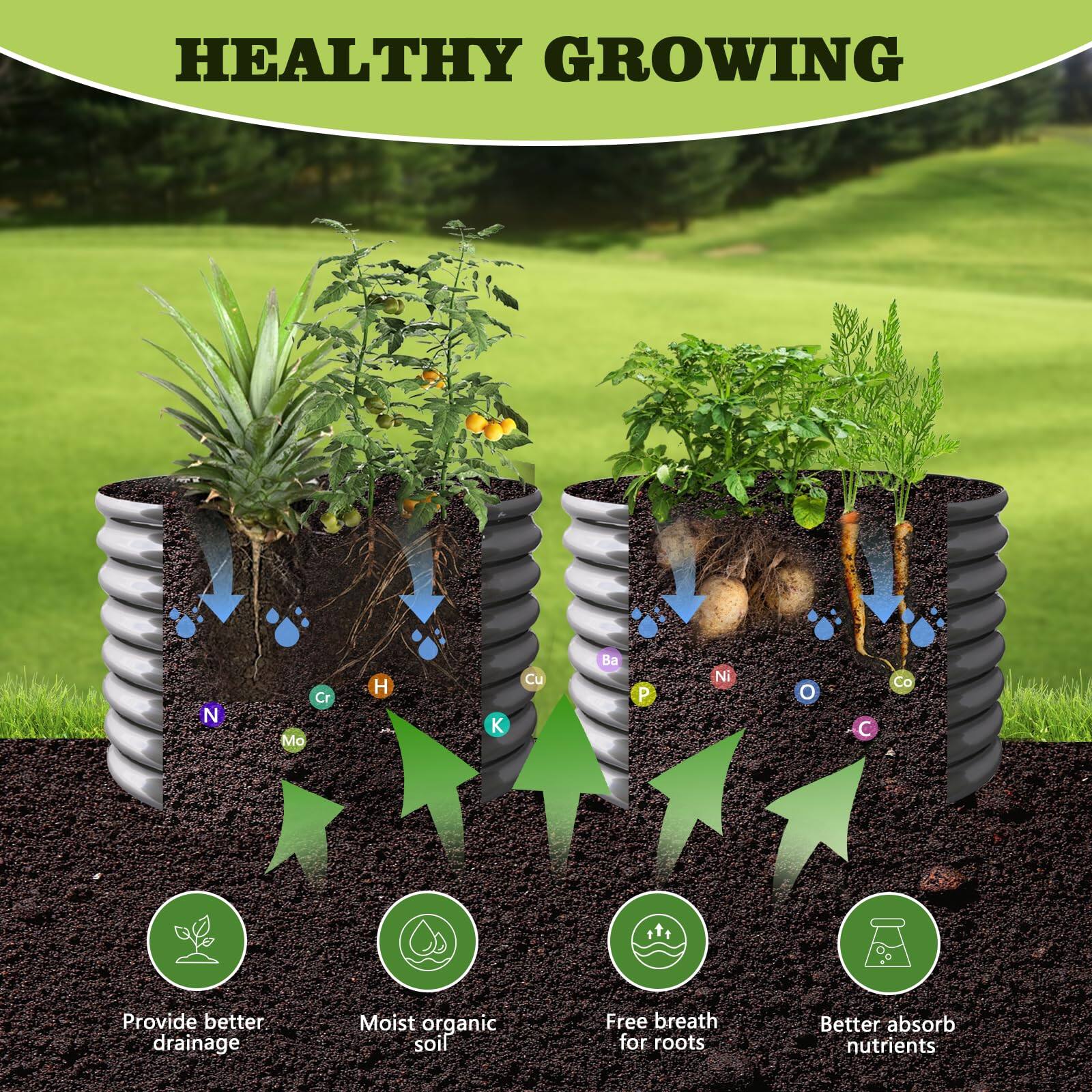HEALTHY GROWING

- Provide better drainage
- Moist organic soil
- Free breath for roots
- Better absorb nutrients