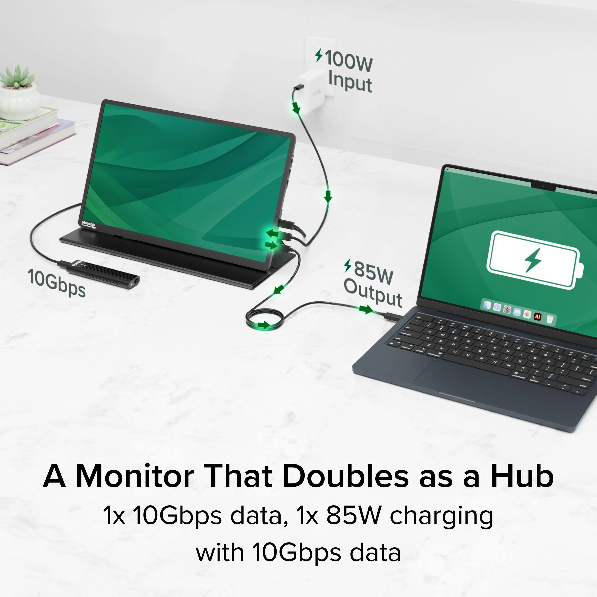 100W Input, 10Gbps, 85W Output. A Monitor That Doubles as a Hub: 1x 10Gbps data, 1x 85W charging with 10Gbps data.