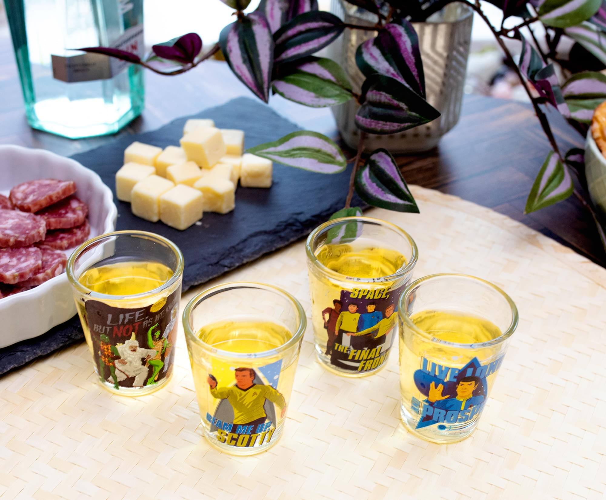 LIFE IS NOT BEAM ME UP SCOTTY!

SPACE THE FINAL FRONTIER

LIVE LONG AND PROSPER