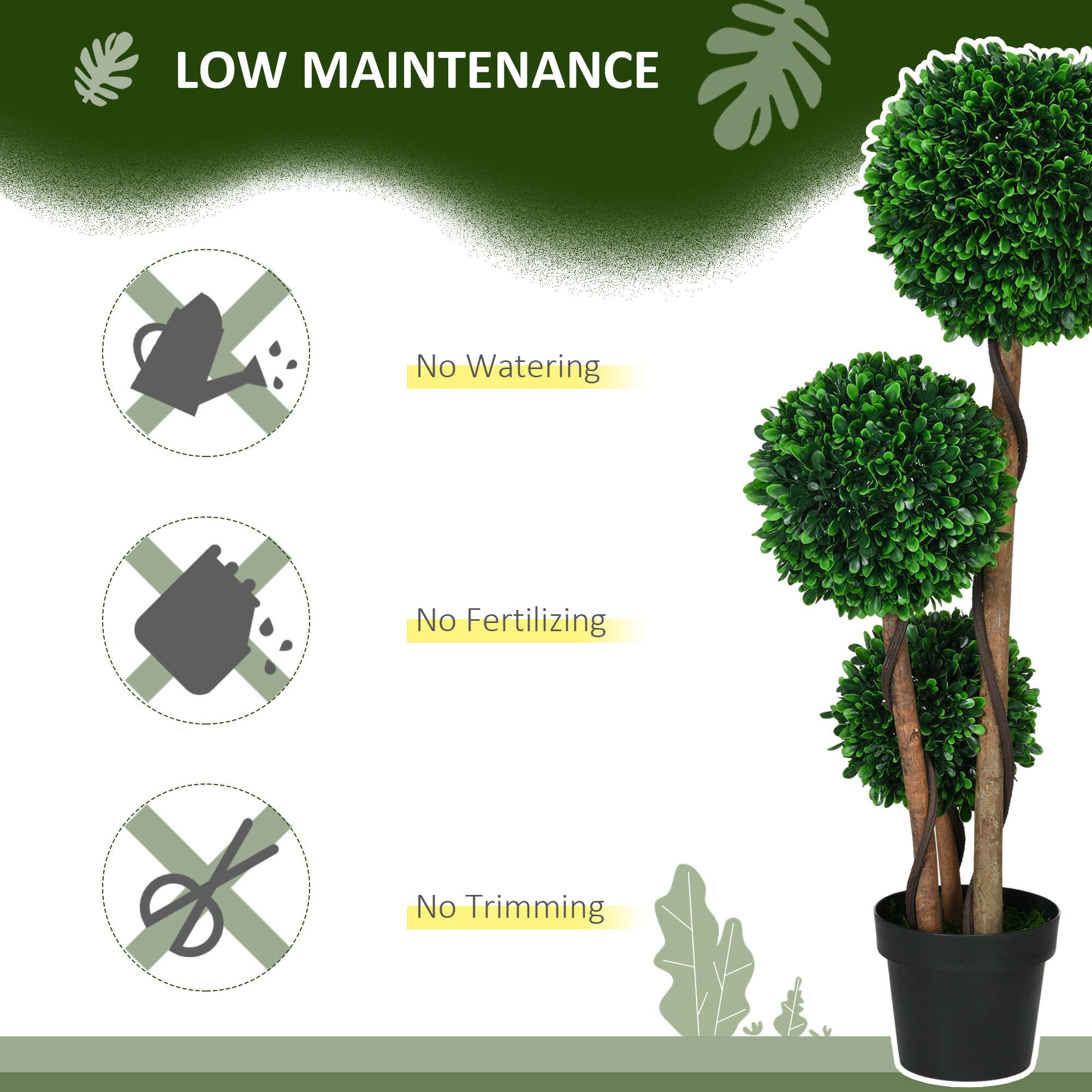 LOW MAINTENANCE

- No Watering
- No Fertilizing
- No Trimming