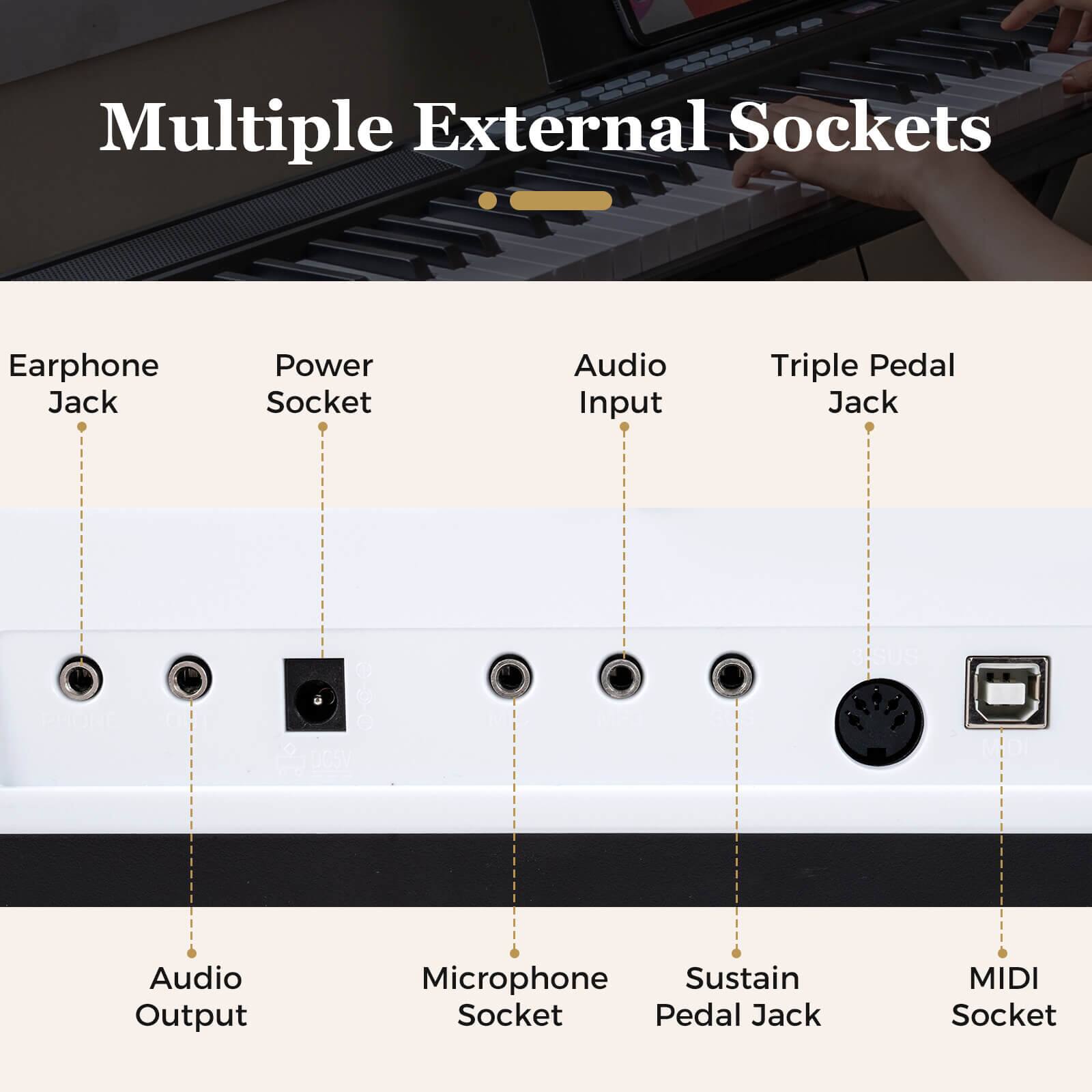 Multiple External Sockets

- Earphone Jack
- Power Socket
- Audio Input
- Triple Pedal Jack
- Audio Output
- Microphone Socket
- Sustain Pedal Jack
- MIDI Socket