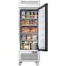 Coolski - 27 in. 21.8 cu. ft. 1-Glass Door Commercial Reach In Display Upright Freezer - Stainless Steel