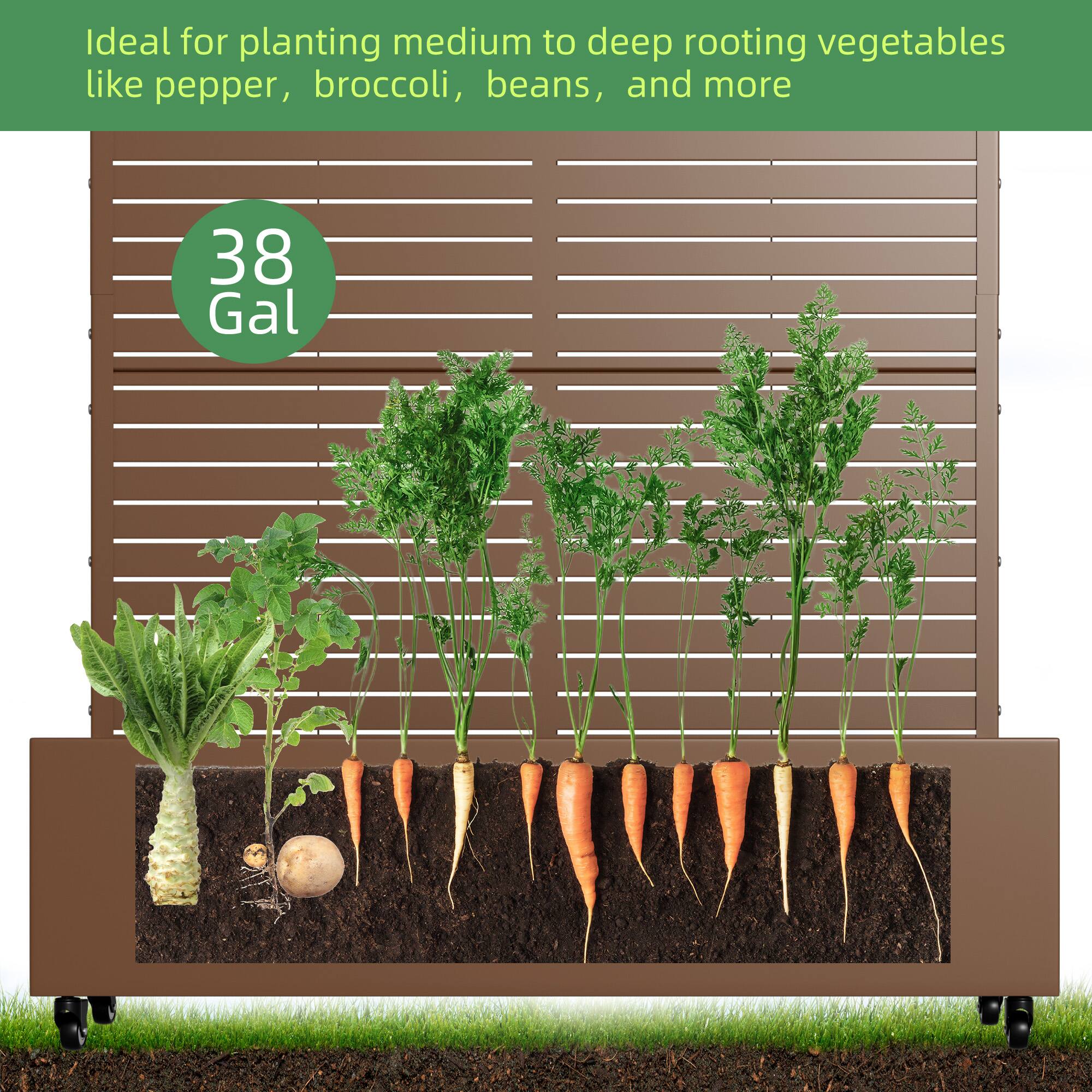 media item thumbnail