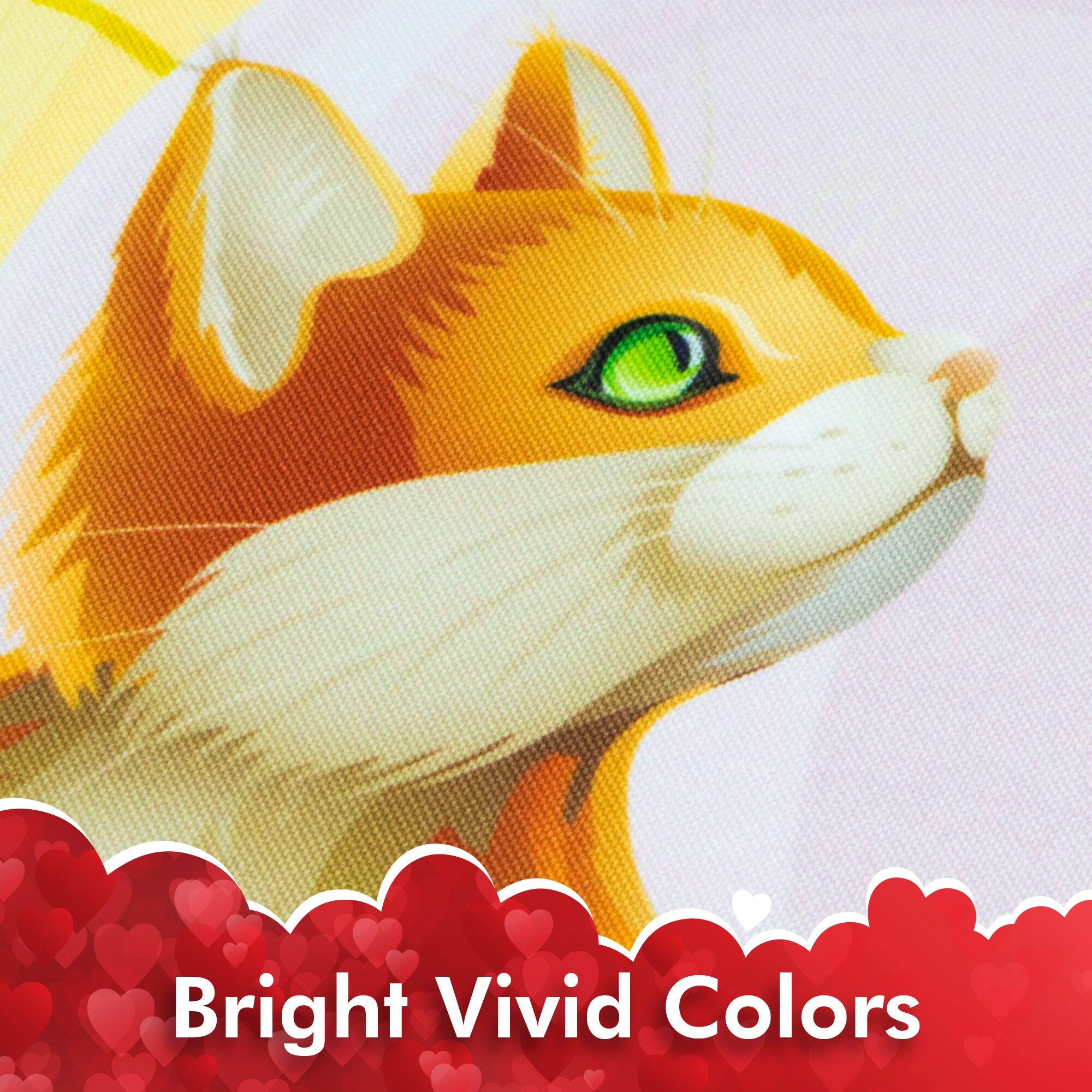Bright Vivid Colors