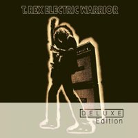 Electric Warrior [LP] - VINYL - Front_Zoom