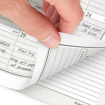 Sure, here is the corrected and grouped text:

- **28/337**
- **29**
  - **Plan trip**
  - **Drop off pups at groomer**
- **24**
  - **Game night @ Erin's**
- **EXPENSES**
- **AT-A-GLANCE**