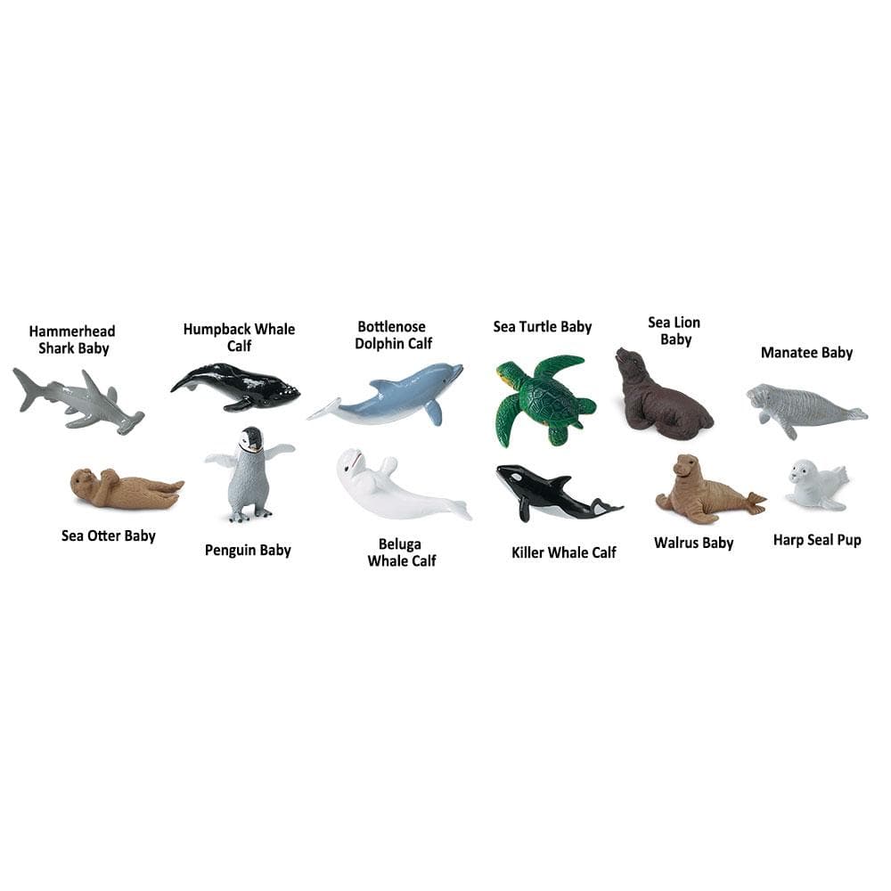 Hammerhead Shark Baby  
Humpback Whale Calf  
Bottlenose Dolphin Calf  
Sea Turtle Baby  
Sea Lion Baby  
Manatee Baby  
Sea Otter Baby  
Penguin Baby  
Beluga Whale Calf  
Killer Whale Calf  
Walrus Baby  
Harp Seal Pup