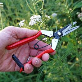 Kings County Tools - LONG-NOSED FRUIT SCISSORS