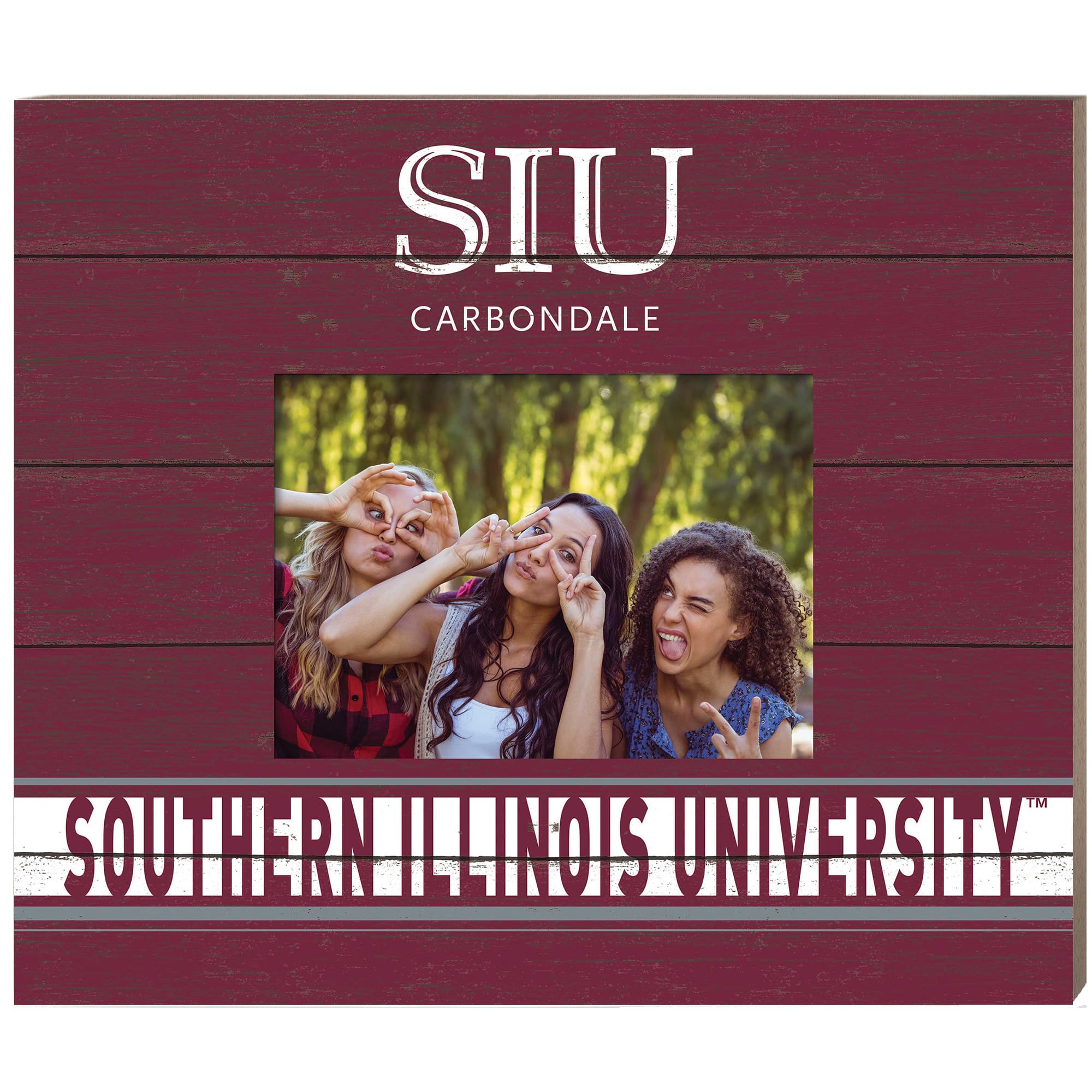 Jardine - Southern Illinois Salukis 11'' x 13'' Team Spirit Scholastic Picture Frame - Maroon price history on PriceWatchPro