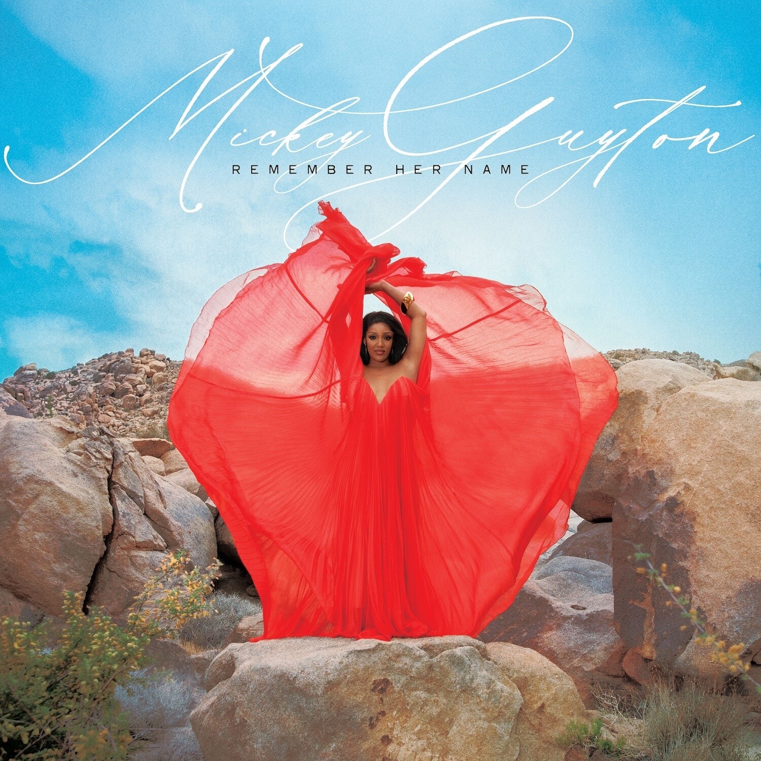 Mickey Guyton - Remember Her Name   - COMPACT DISCS [CD] price history on PriceWatchPro
