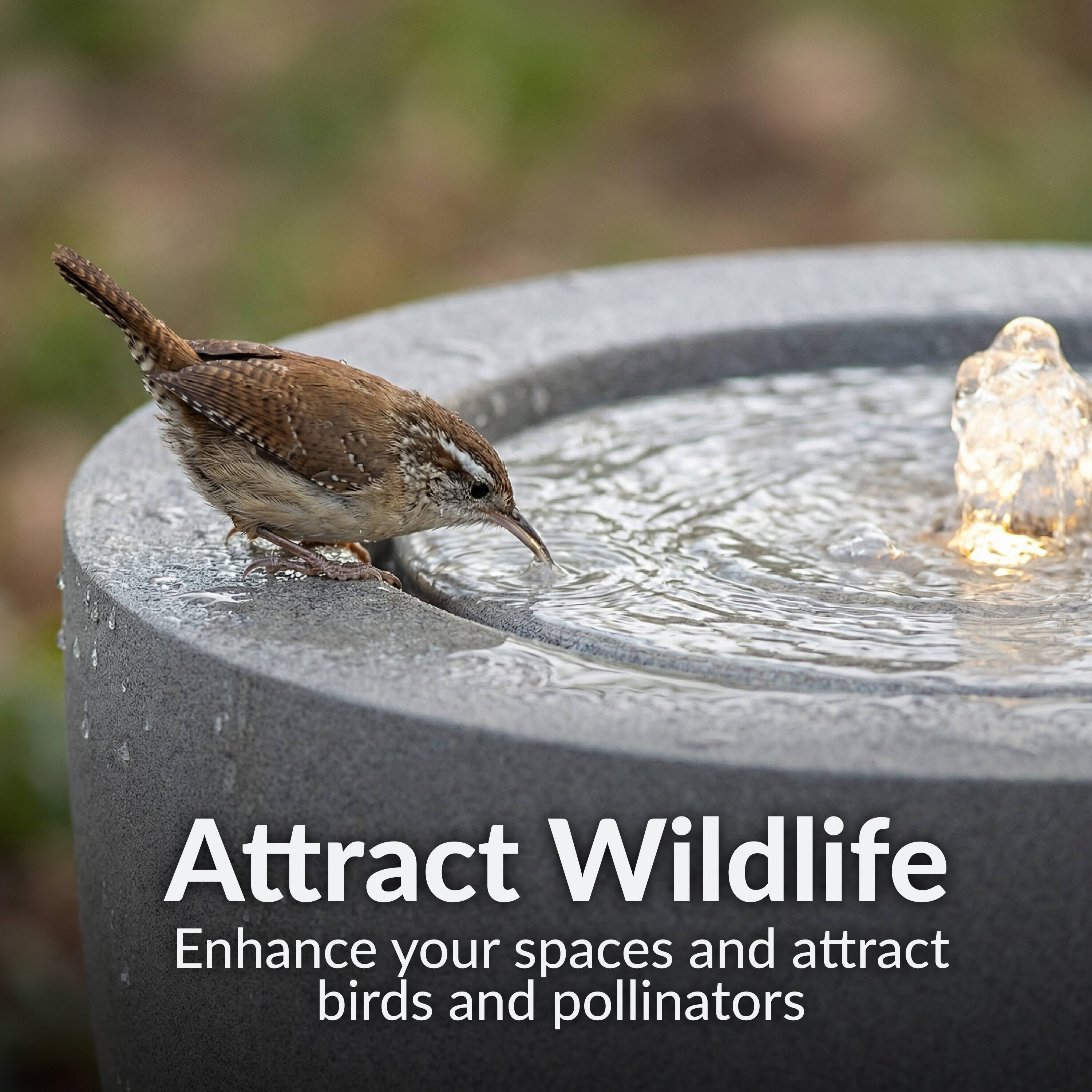 Attract Wildlife  
Enhance your spaces and attract birds and pollinators