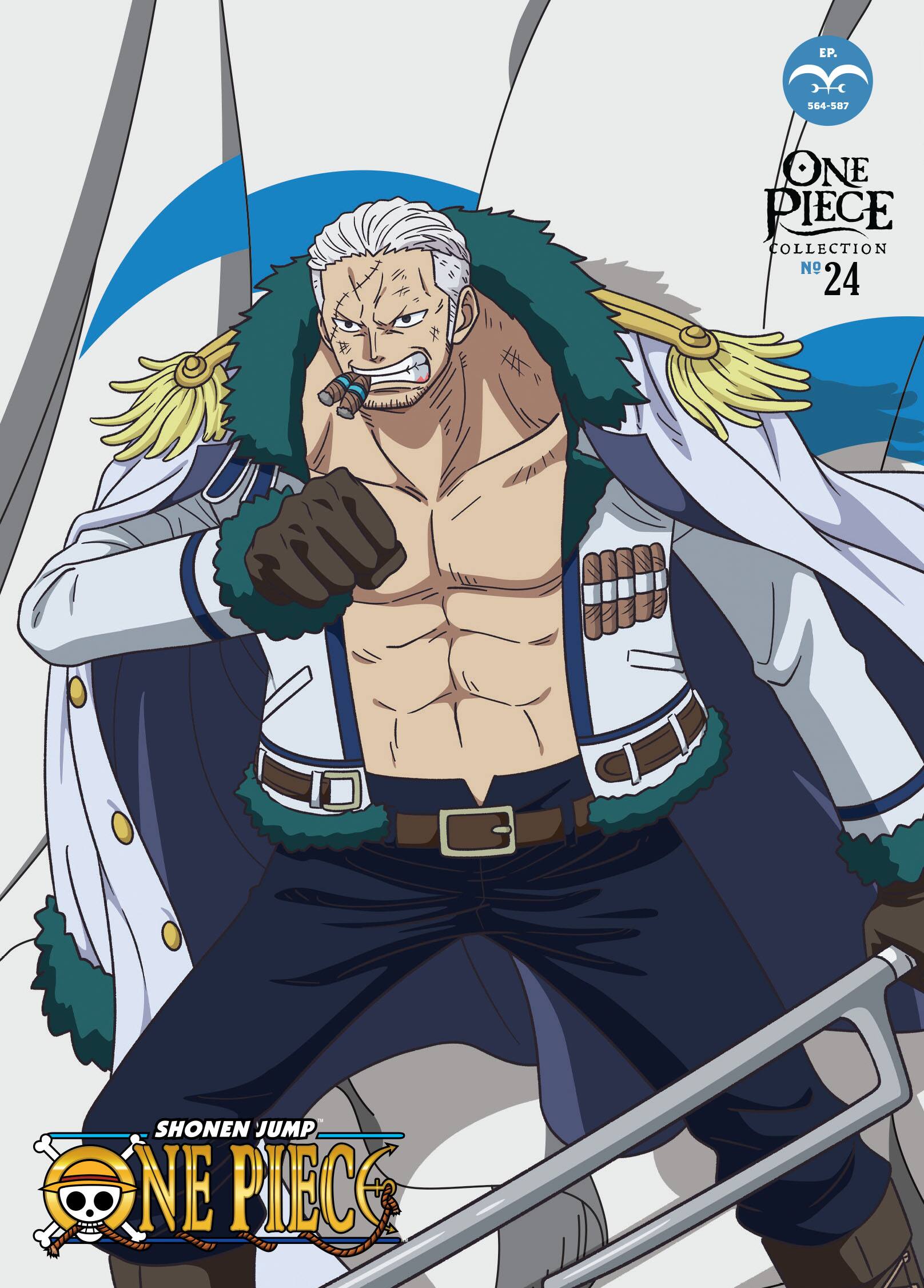 Alt View 1. One Piece: Collection 24   - DVD.